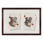 SNAP! Schnauzers
