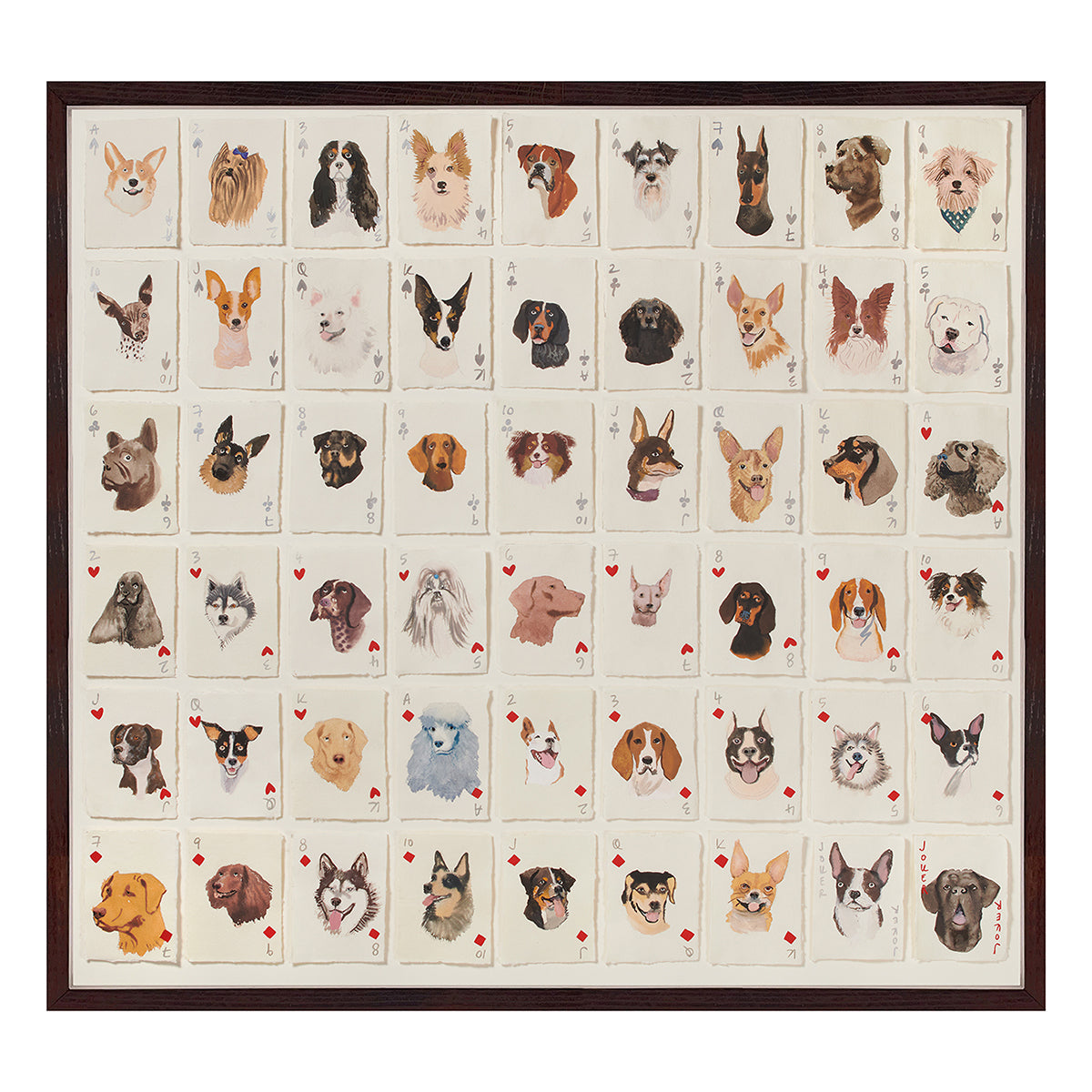 A Pack Of American Dog Breeds