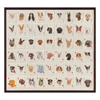A Pack Of American Dog Breeds