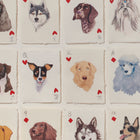 A Pack Of American Dog Breeds