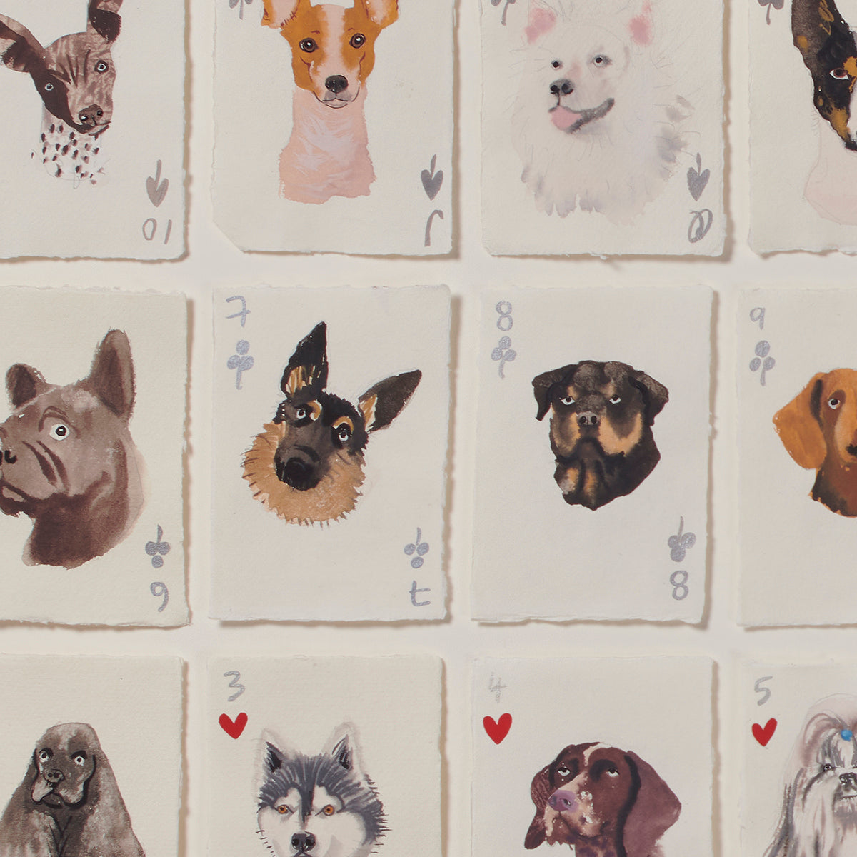 A Pack Of American Dog Breeds