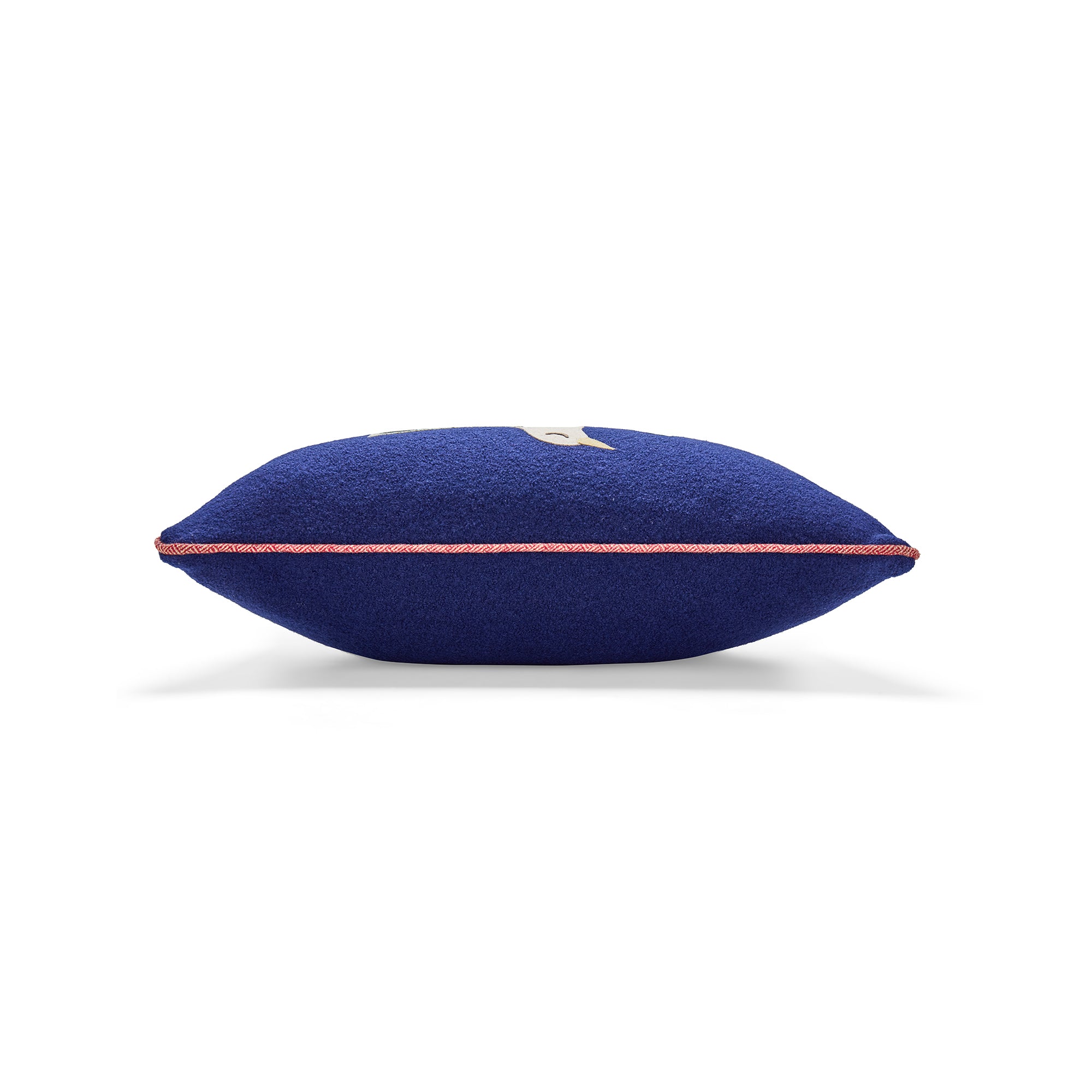Blue Bird Square Cushion