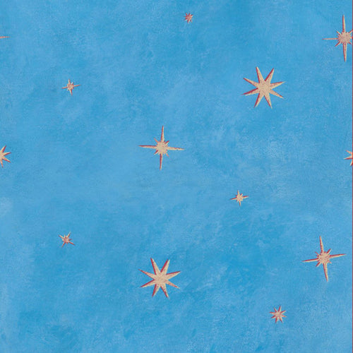 Starry Night Mural Wallpaper