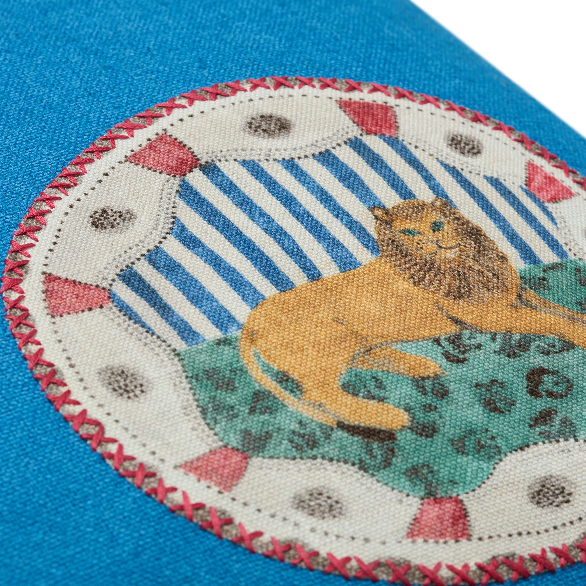 Robina’s Applique On Blue Cushion