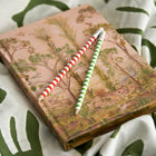 A bound hardcover notebook features Kit Kemp’s beloved Tall Trees design. B5 size, paired with striped Firmdale pencils, sold in pack of six.