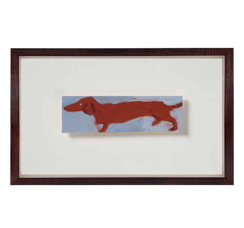 Miniature Dachshund