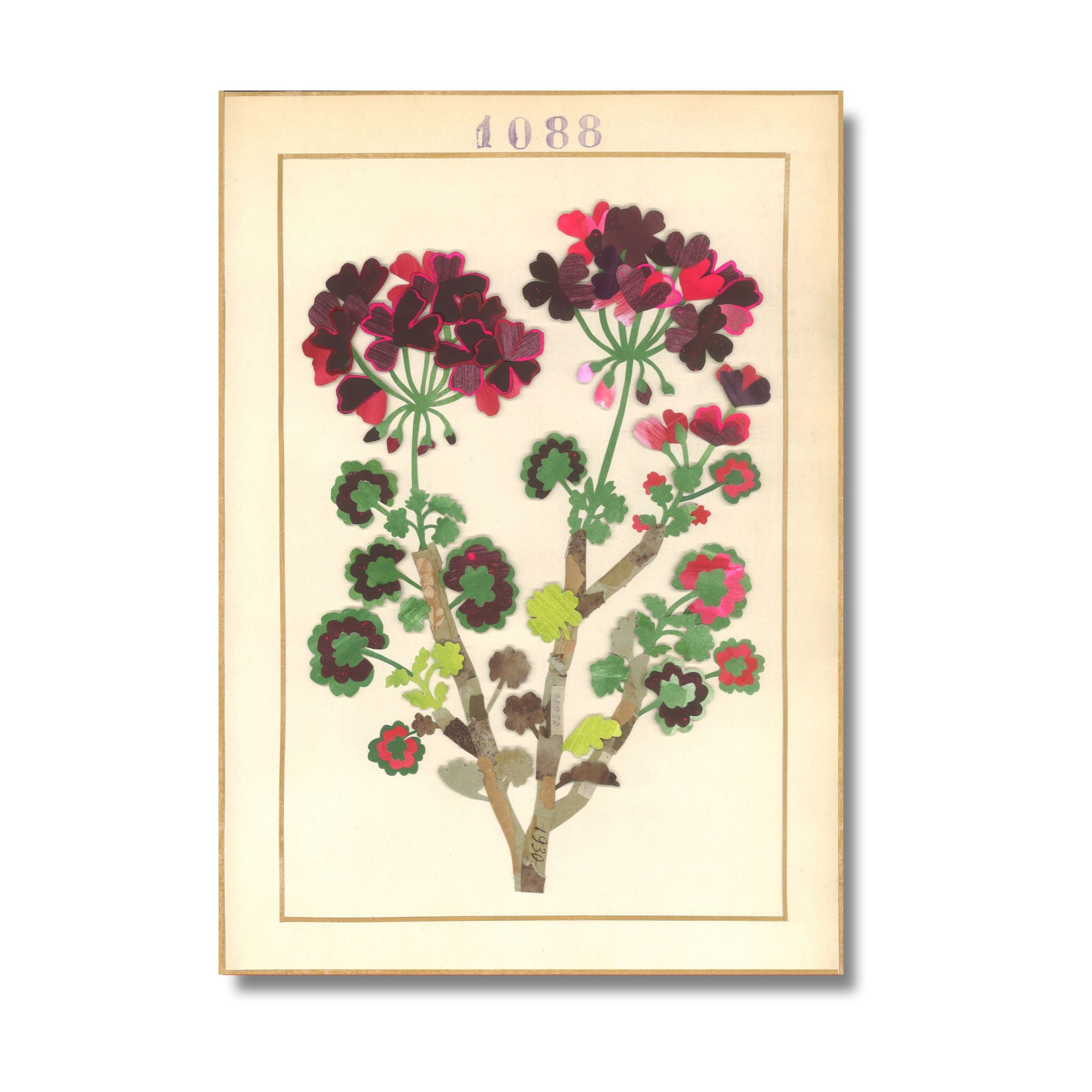Geranium 1088 Limited Print