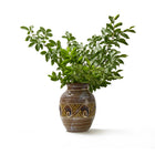 Waves Vase