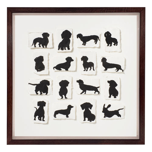 16 Dachshunds