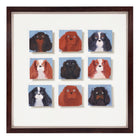 9 Cavalier King Charles Spaniels