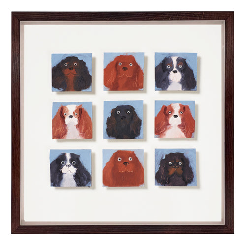 9 Cavalier King Charles Spaniels