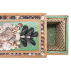 Ancient Shells Decorative Box