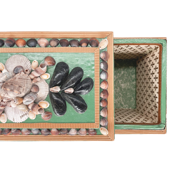 Ancient Shells Decorative Box